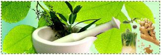 Kerala Trip, Kerela Holiday Tours, Kerala Hotels Resorts Accomodation